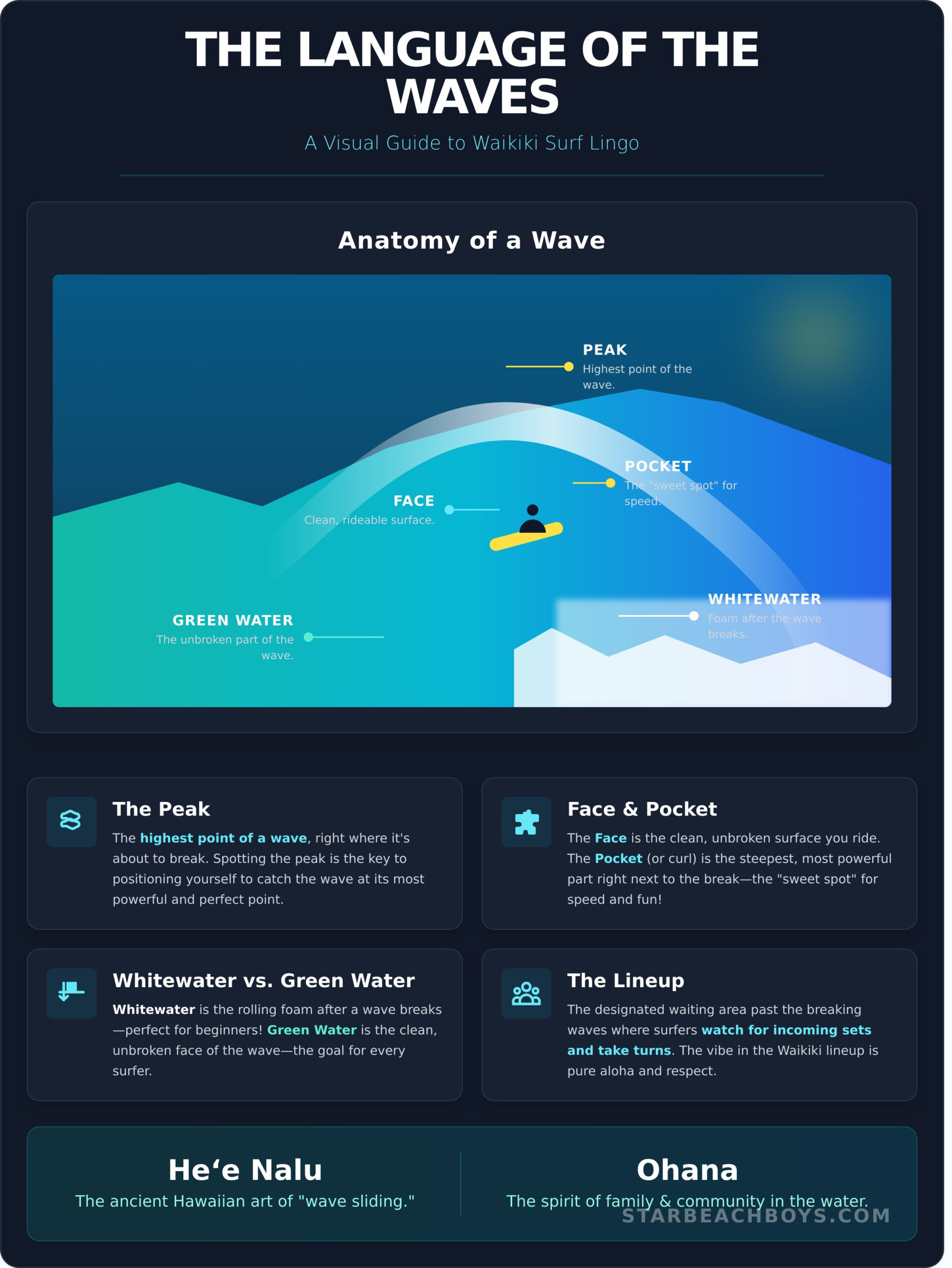 Surfing Terms 101: A Guide to Waikiki Surf Lingo and Hawaiian Traditions - Infographic